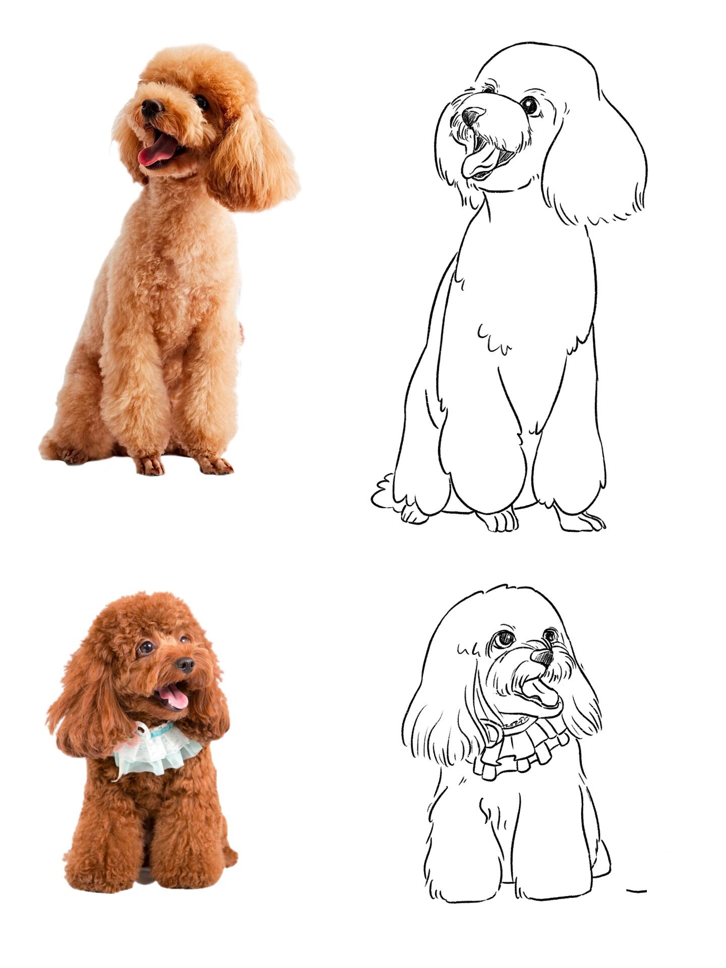 速写|狗狗82   一堆可爱的狗子