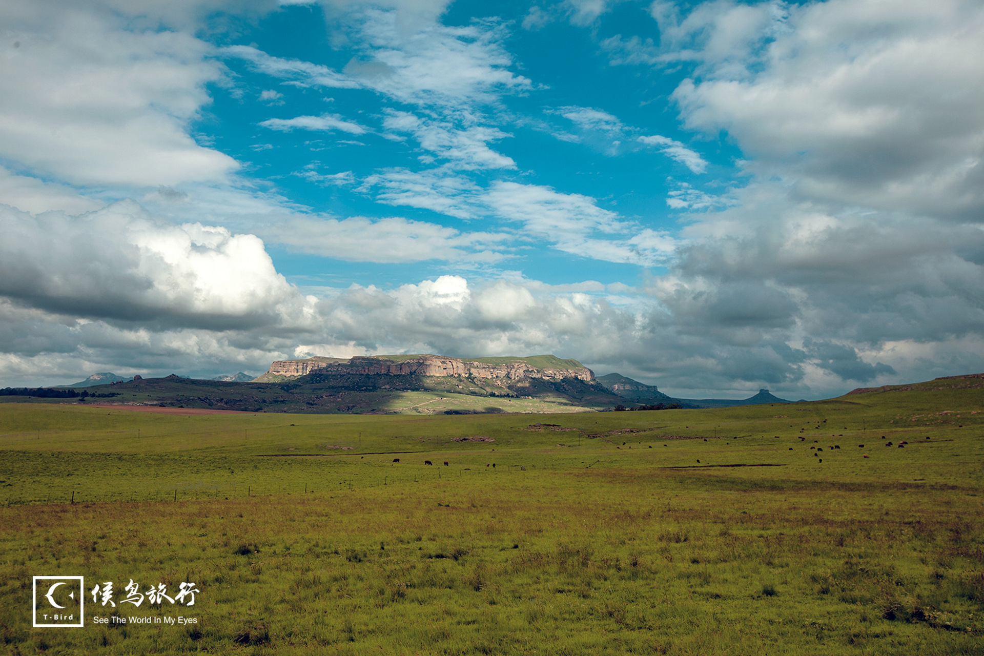 很多人不太熟悉德拉肯斯山脉(drakensberg)这个地方.