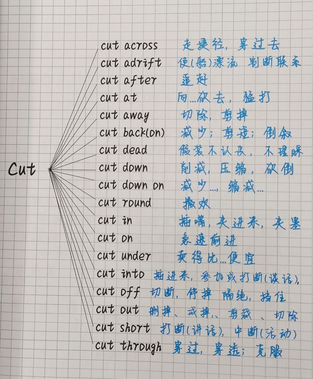 cut的短语图片