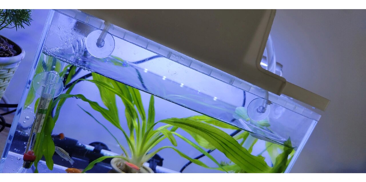 8分钱自制鱼缸盖,养猫养鱼两不误啦