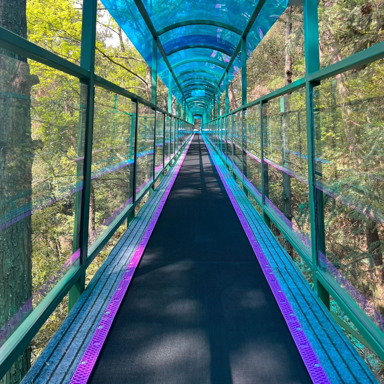 避雷6015千岛湖飞龙魔毯6015不然是下一个大冤