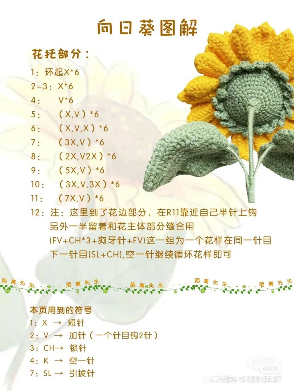 向日葵品种分类图片