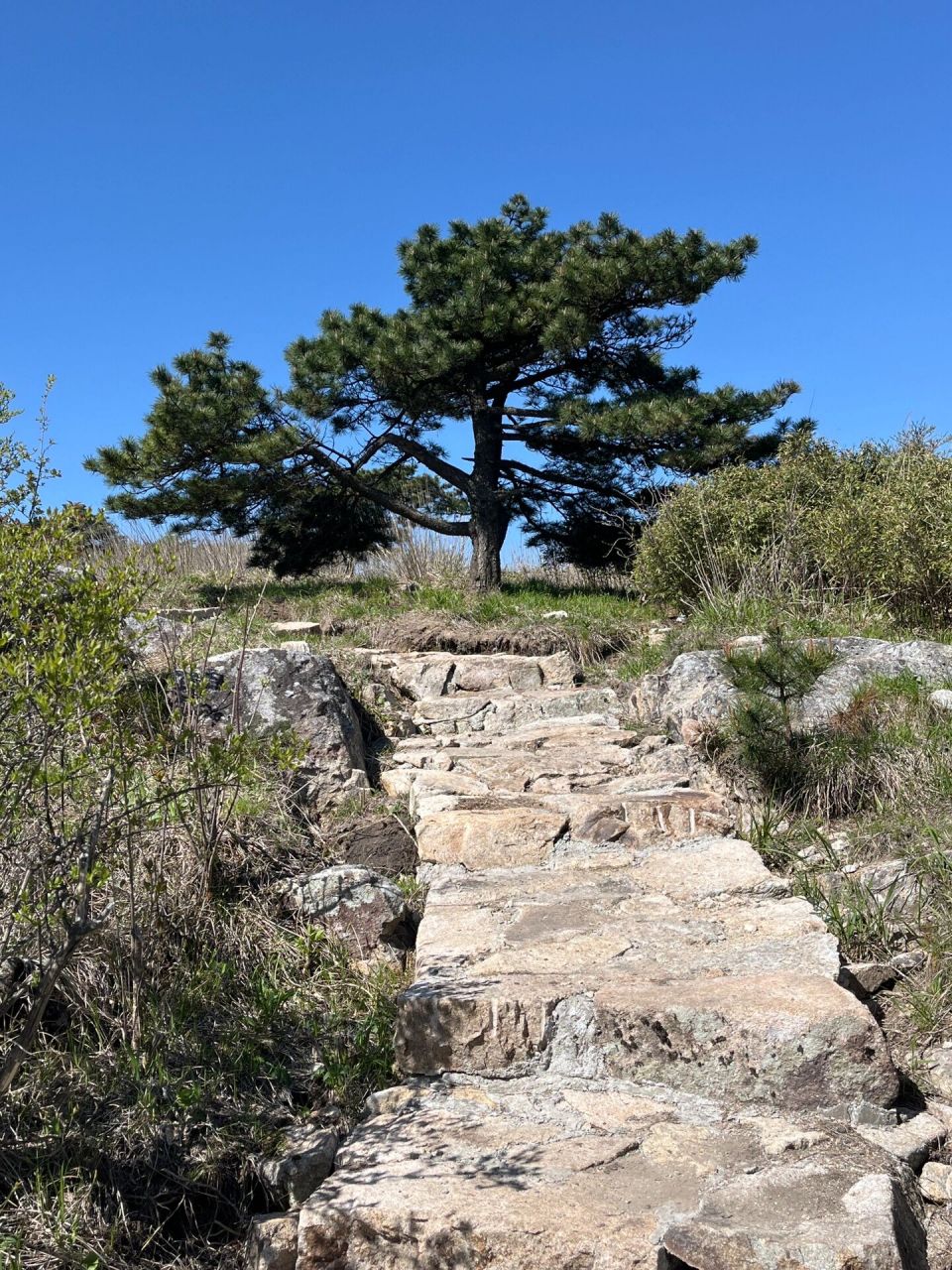 浙江十一峰|杭州第一高峰清凉峰 7215清凉峰是杭州第一高峰,海拔