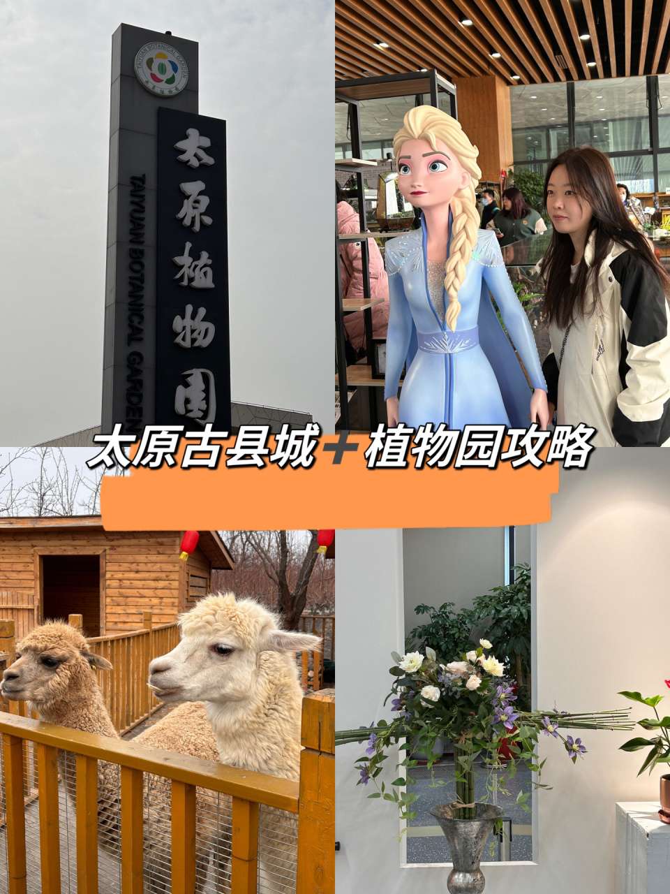 太原植物园77古县城攻略 93门票99:植物园:淡季30rmb 旺季60rmb