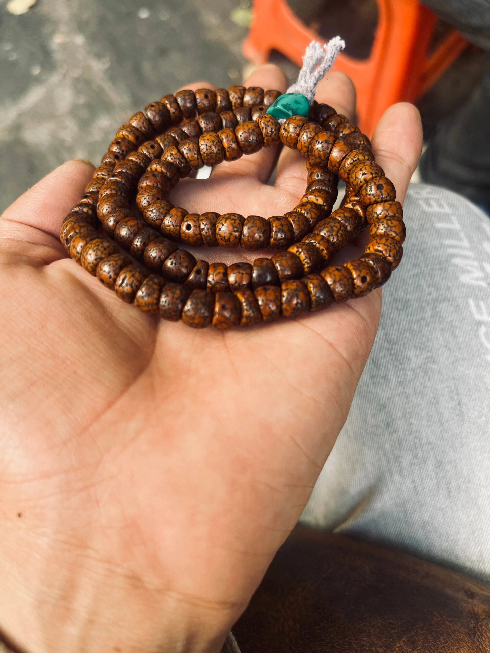 藏文玩——星月菩提