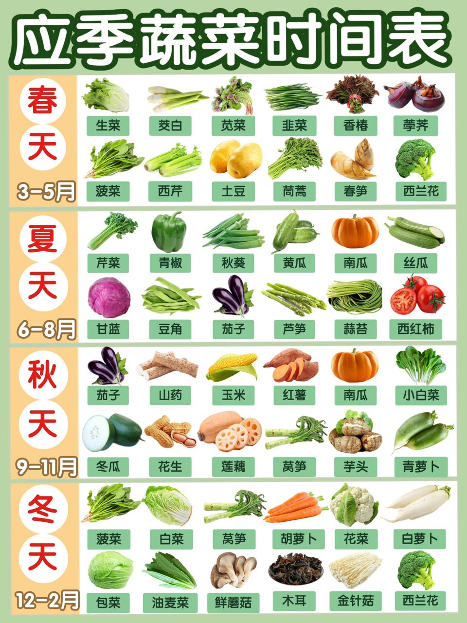 蔬菜大全名字名称图片