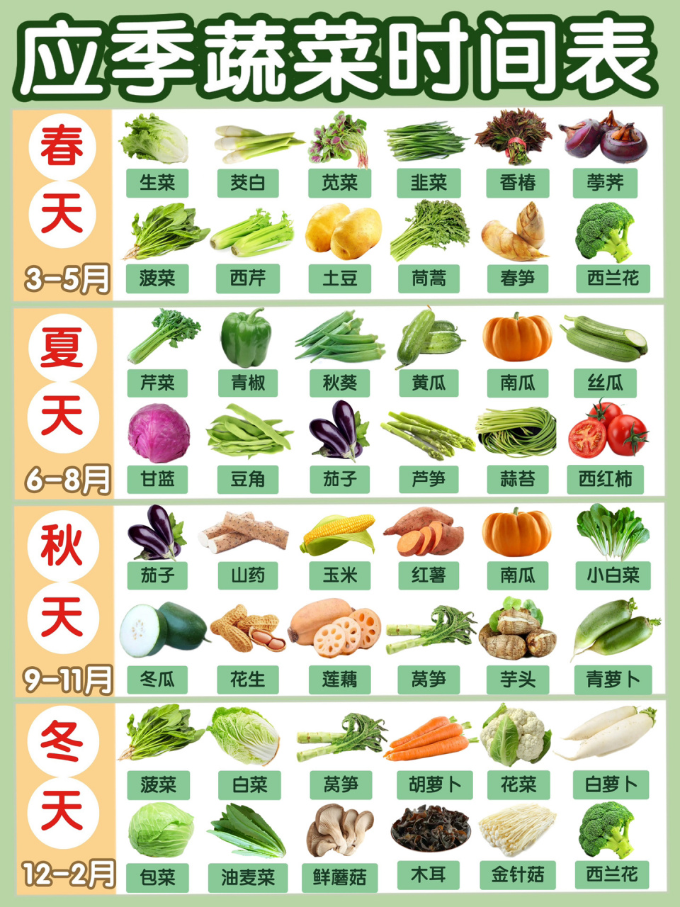 应季蔬菜时间表及蔬菜的营养价值6015超实用 之