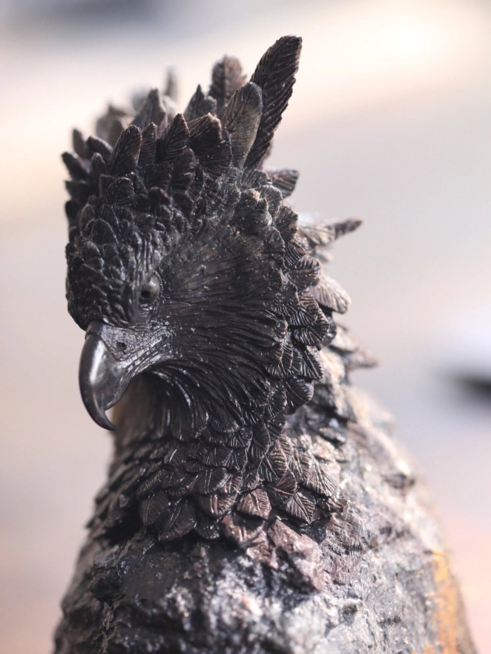 角雕的体型可比影视里雕的体型大多了.