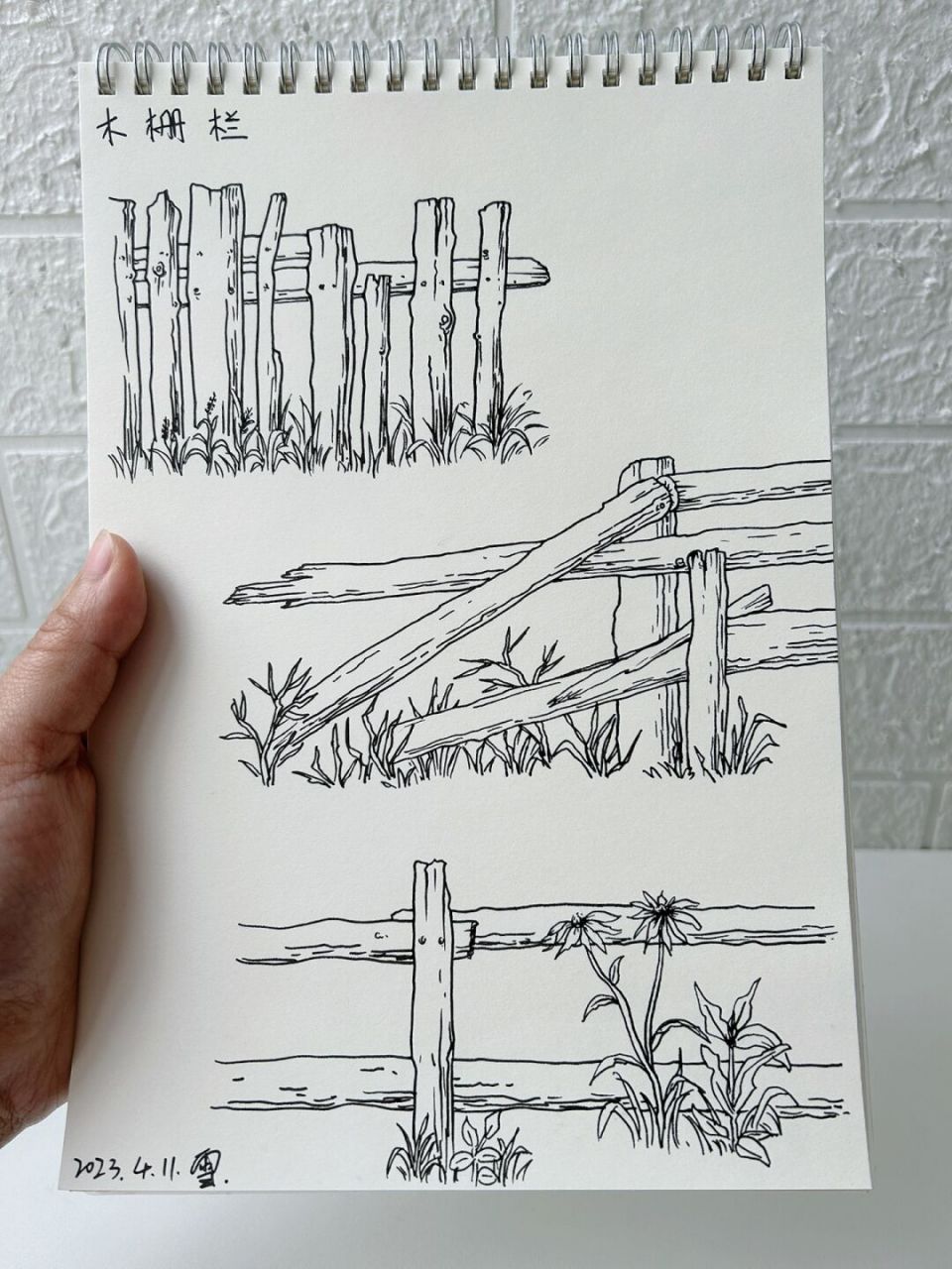 速写|木栅栏