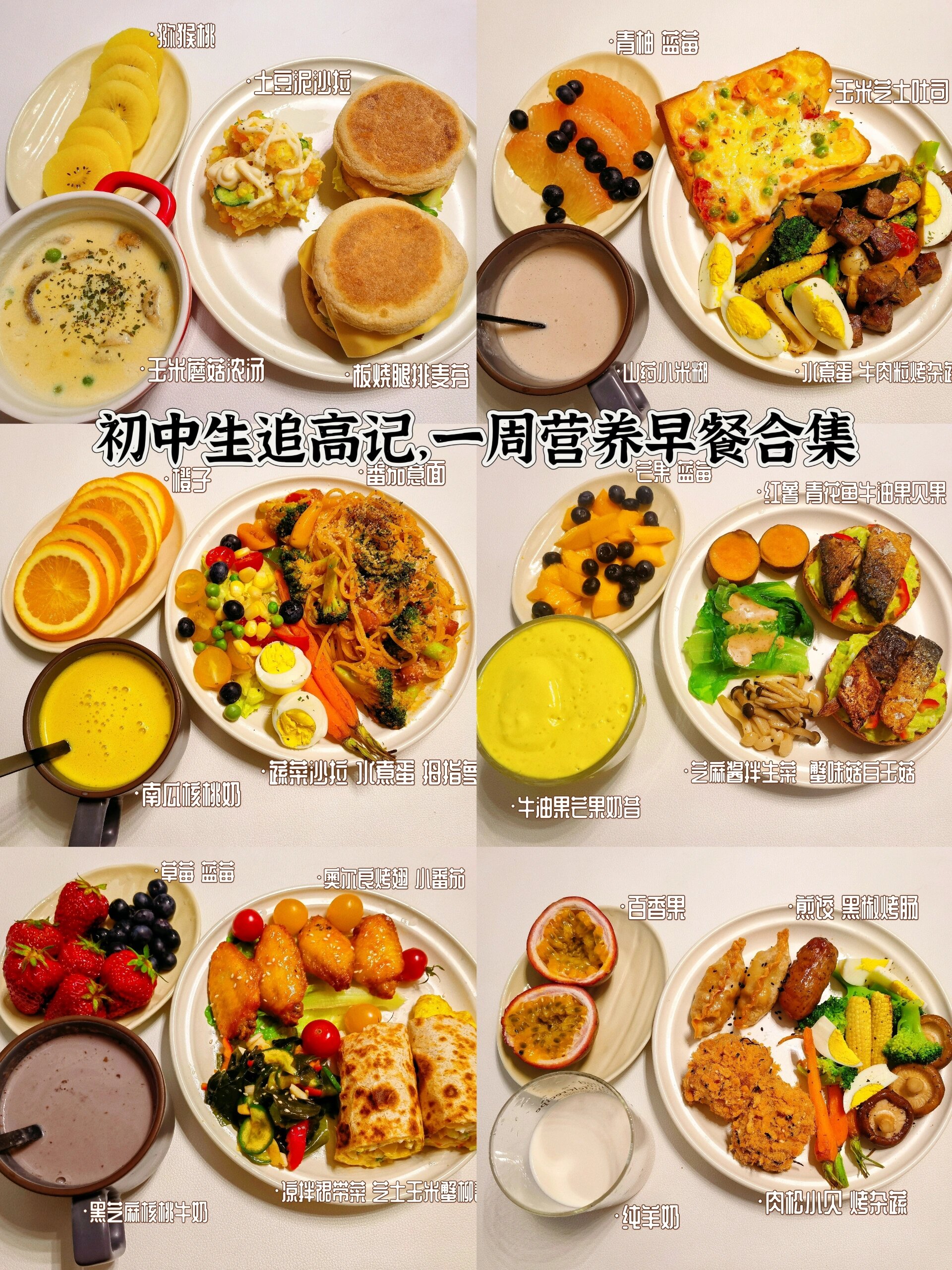 初中生追高记,一周营养早餐合集