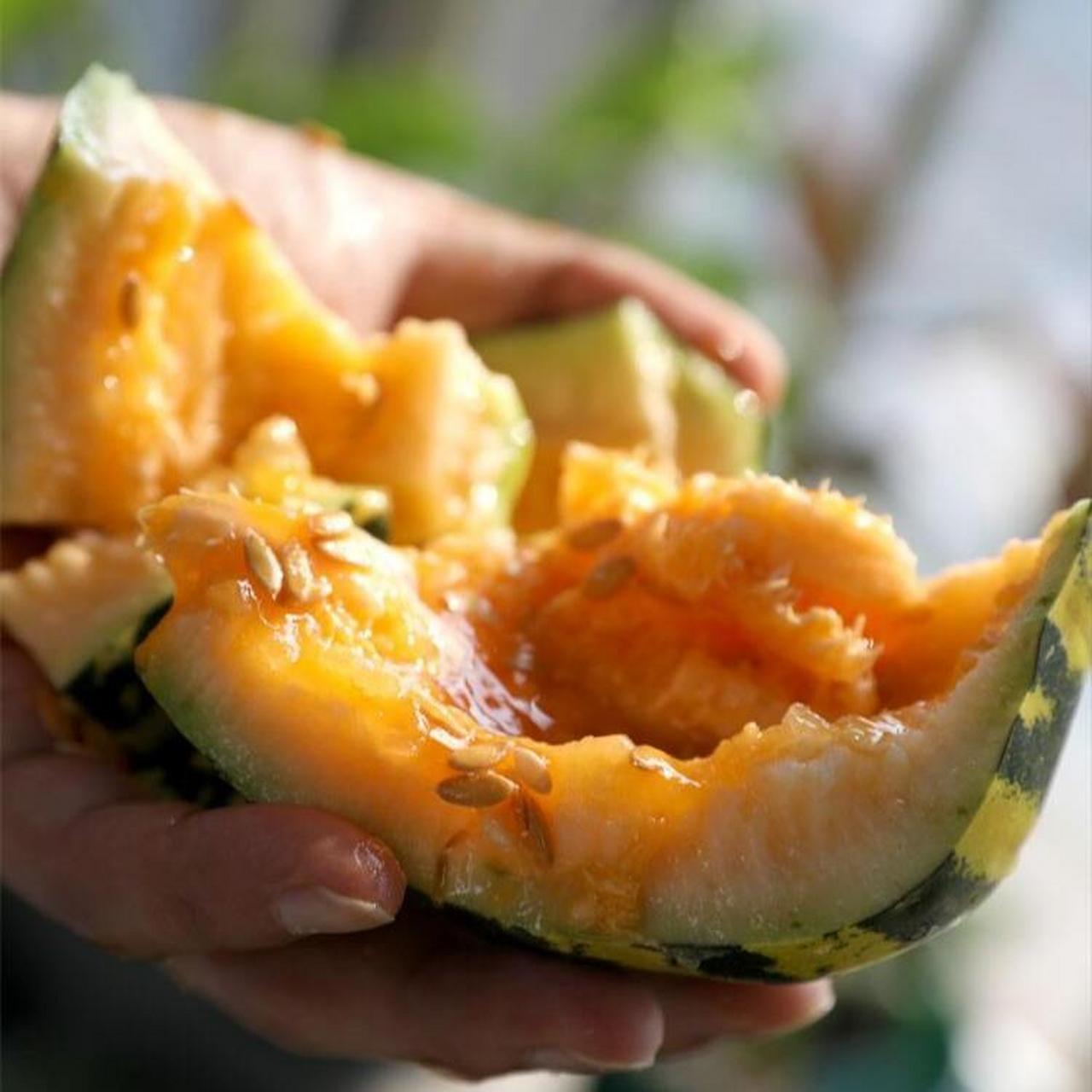 昨天收到一份粉丝的私信,说他买了我的冰糖子甜瓜种子,已经种下半个月