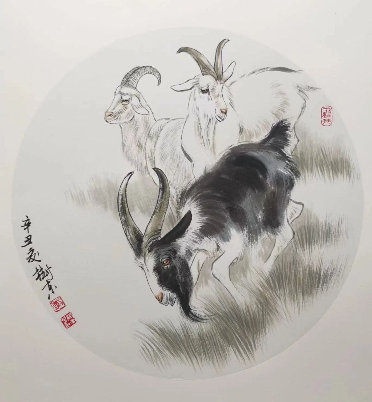 工笔画每日分享-《三羊开泰》 三阳肇开泰,一气回新和;百卉已萌茁,光