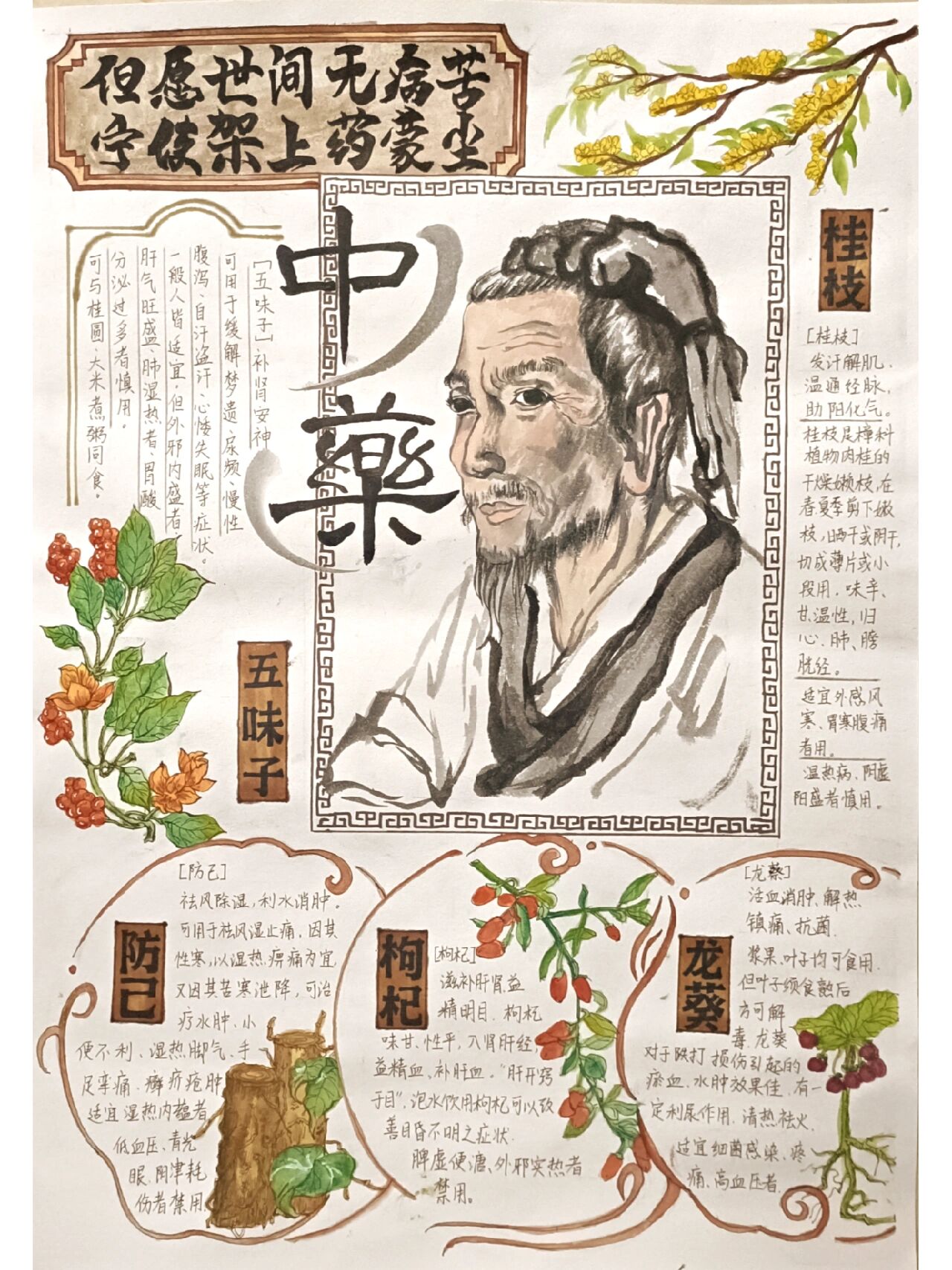 手抄报《中药