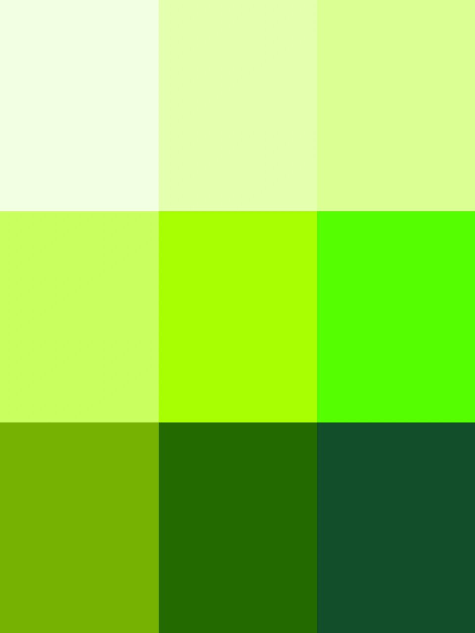 绿色纯色背景头像