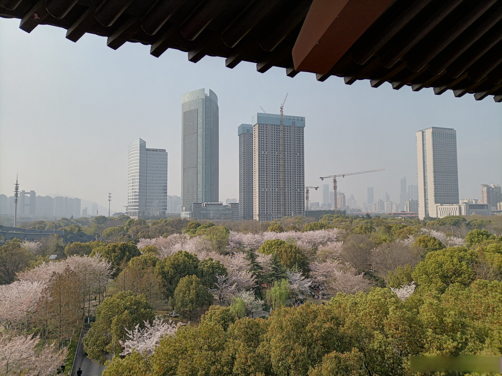 流云俳句集——无锡柴胡塔  长河传友谊,柴胡塔耸立.