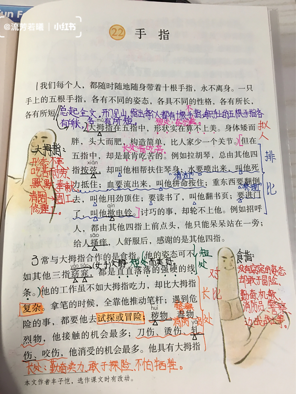 五年级下册第22课《手指》笔记