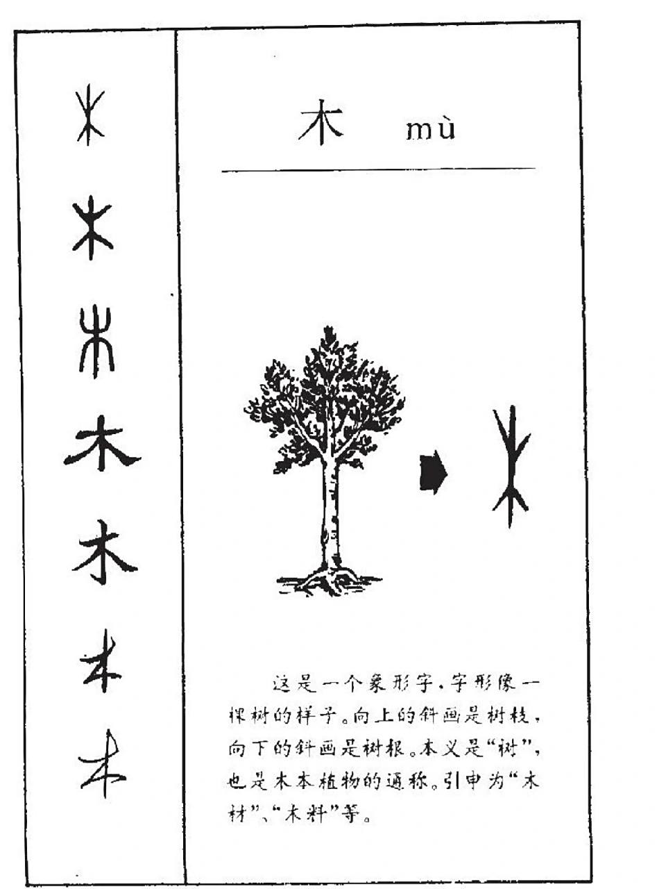 "木"字演化,你知道吗?