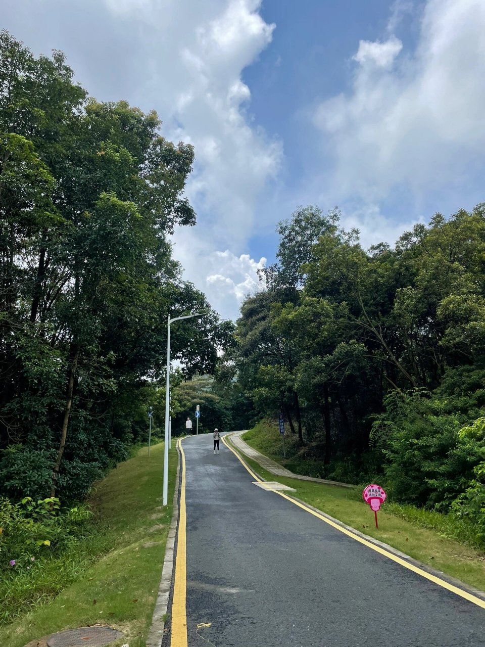 7215一起去爬山|黄埔油麻山森林公园 99黄埔油麻山森林公园