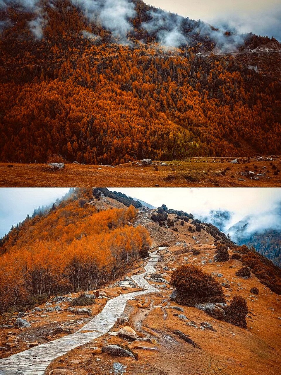 11月四姑娘山3日游(2) 赏秋93景点介绍 73双桥沟,比起其他几个