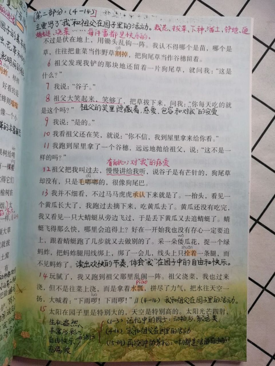 祖父的园子预习笔记|部编五下第2课 祖父的园子给你留下了怎样的印象?