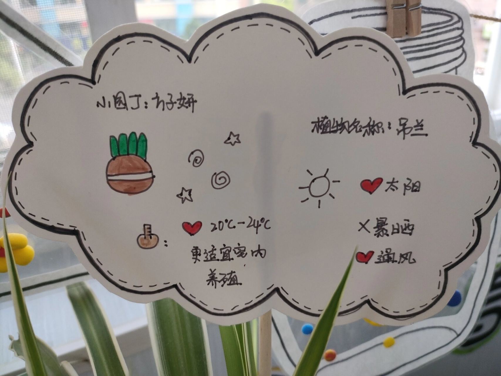 植物角植物标签 植物角植物标签#植物# #环创# #自然教育# #幼儿园