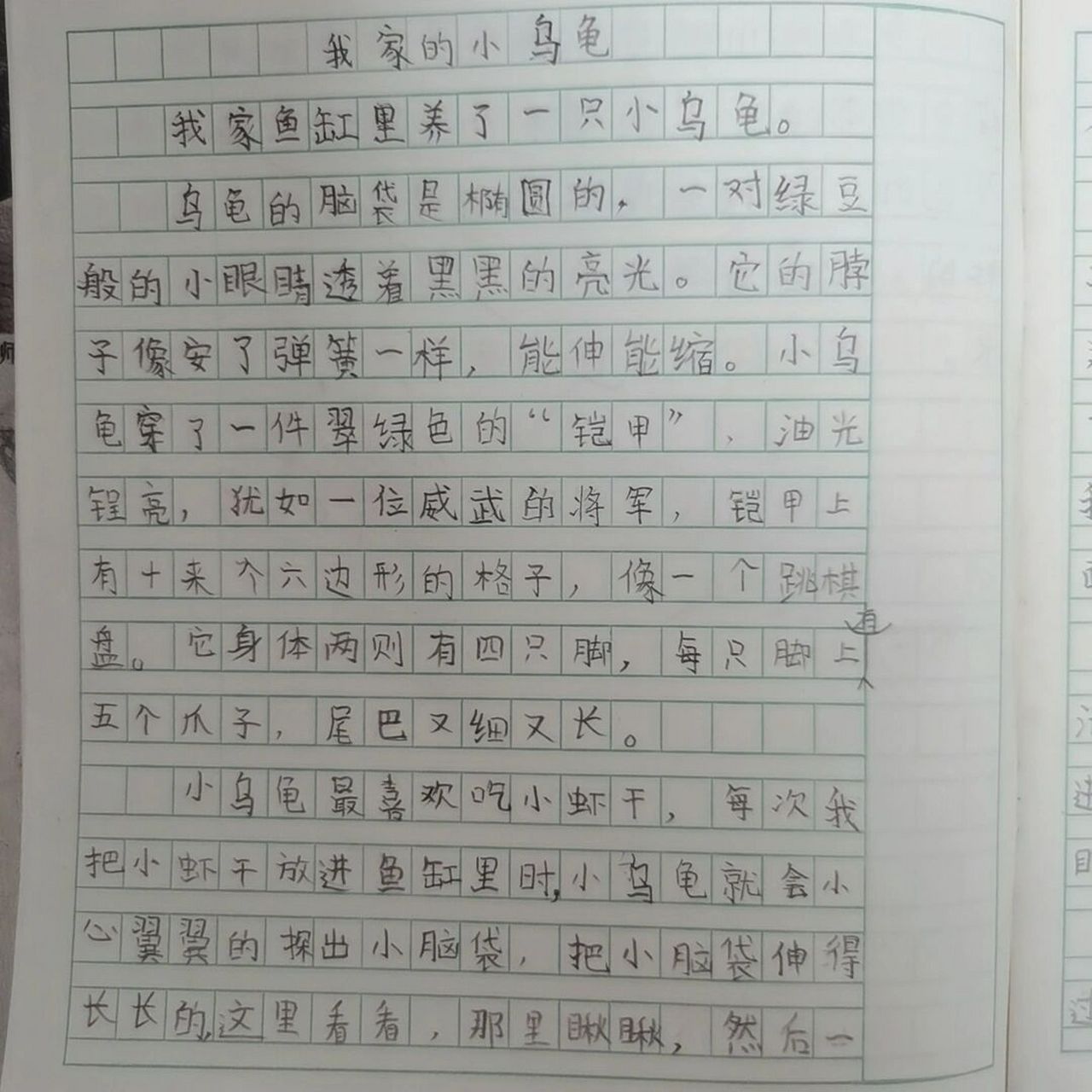 三年级我最喜欢的小动物作文,描写动物外形