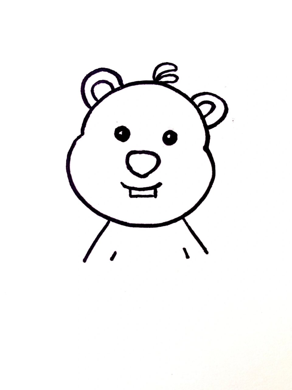 8零基础简笔画教程丨小海狸loopy 今日的小海狸来敦促你打卡下班啦