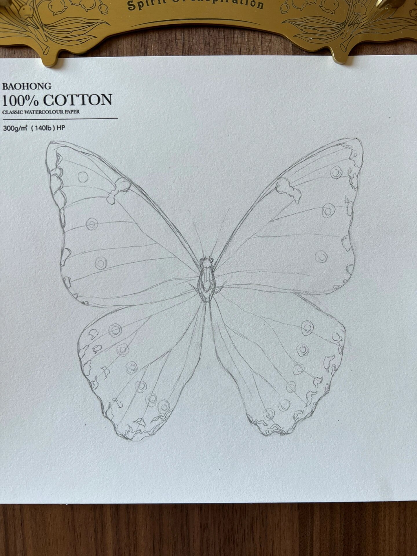 0|三步教你画蝴蝶(附过程图