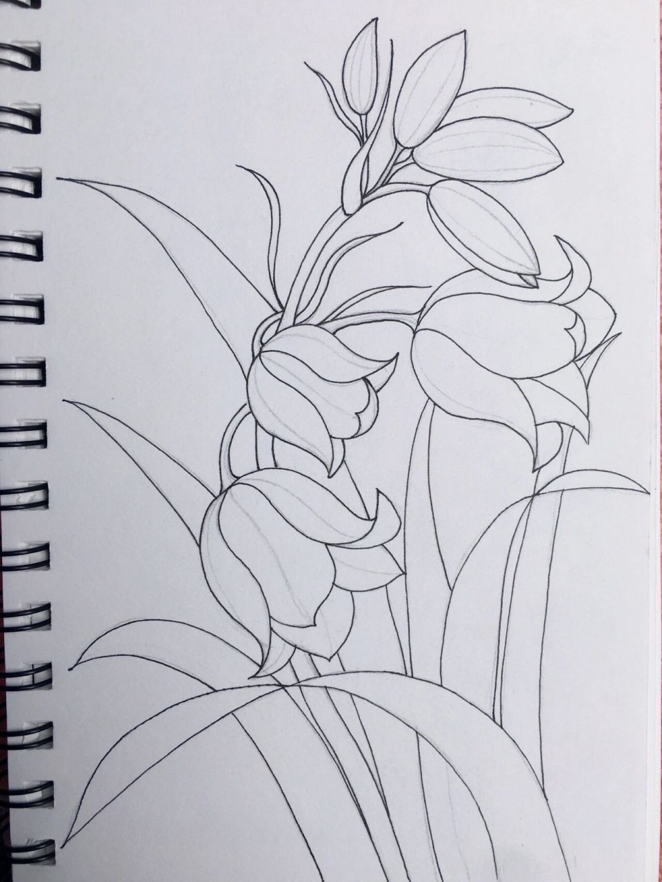 控笔练习95,植物线描铃兰 铃兰植物线描 针管笔01和005
