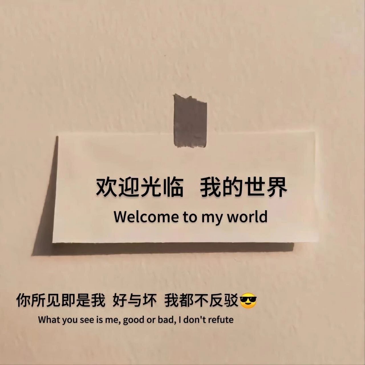 你所见即是我,好于坏,我都不反驳