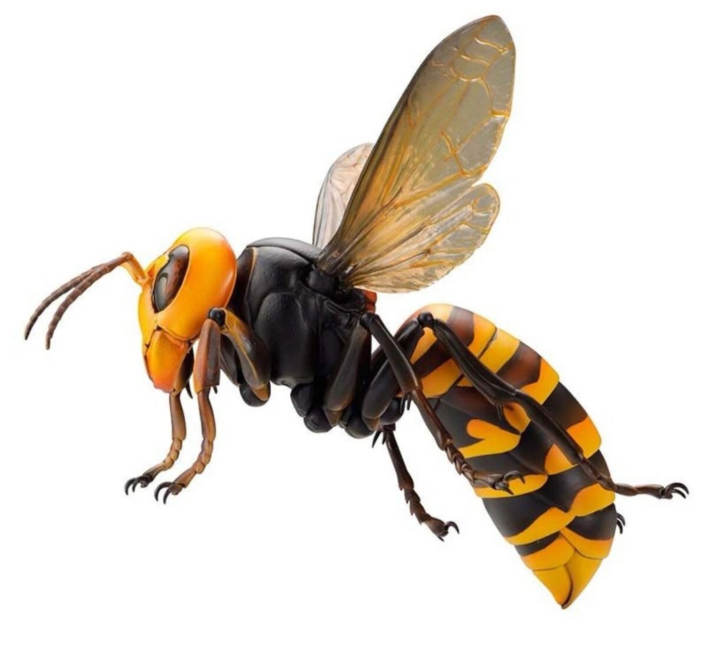 写生,创作素材《蜜蜂》快点收藏吧 写生,创作素材分享《蜜蜂》高清