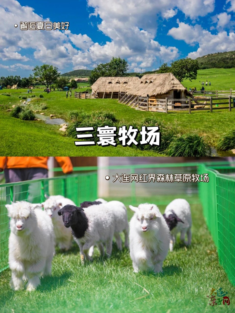 踏青出游 | 大连三寰牧场特价门票来袭!