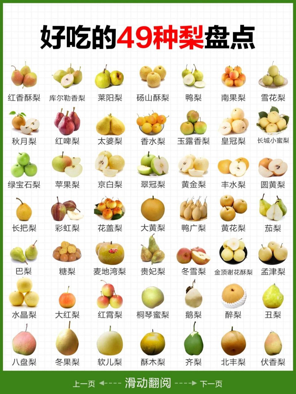 ㊙️"百果之宗"的梨的种类盘点与相关介绍 梨是非常常见的水果