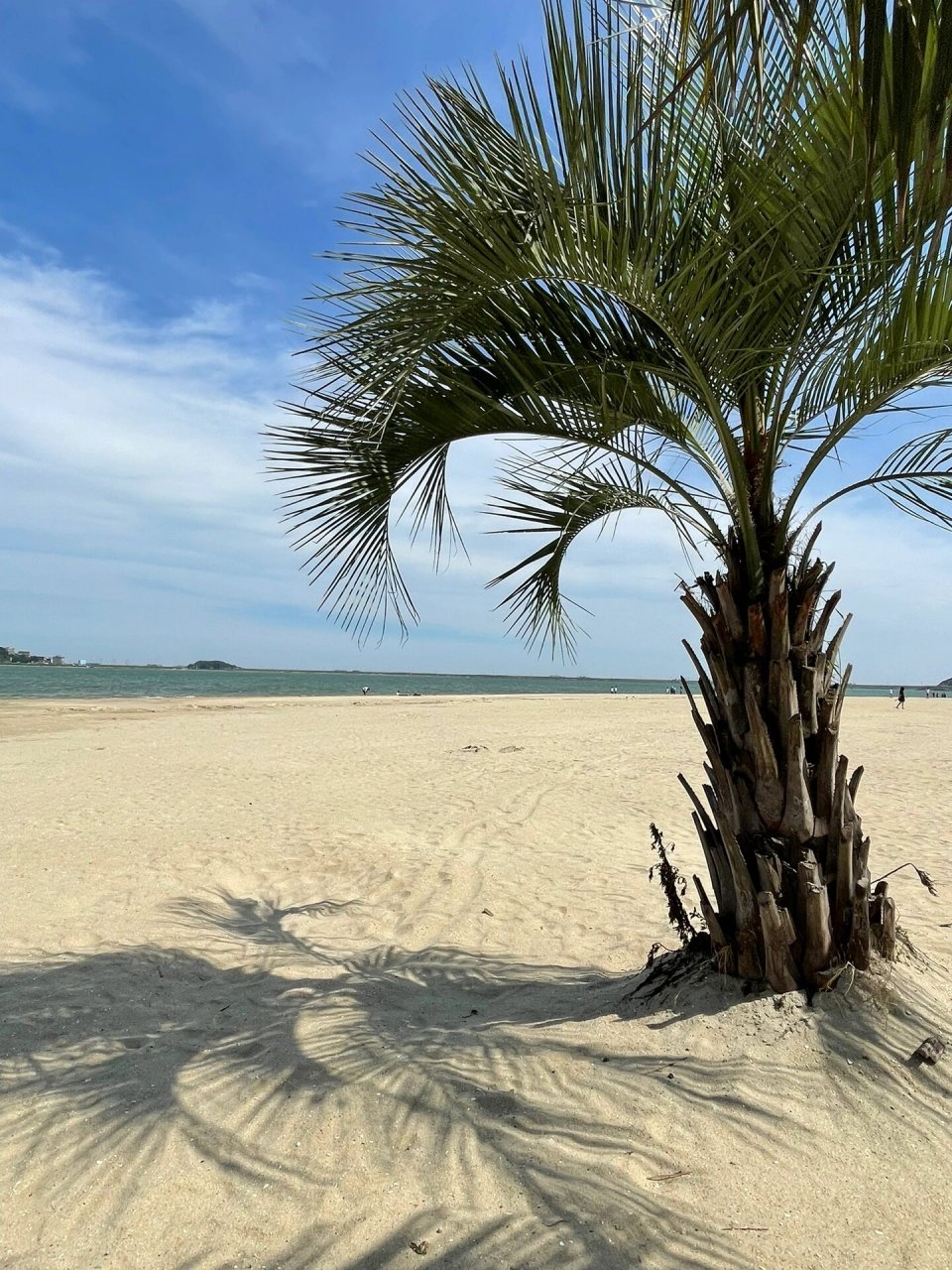 台州椒江风景 椒江风景美如画