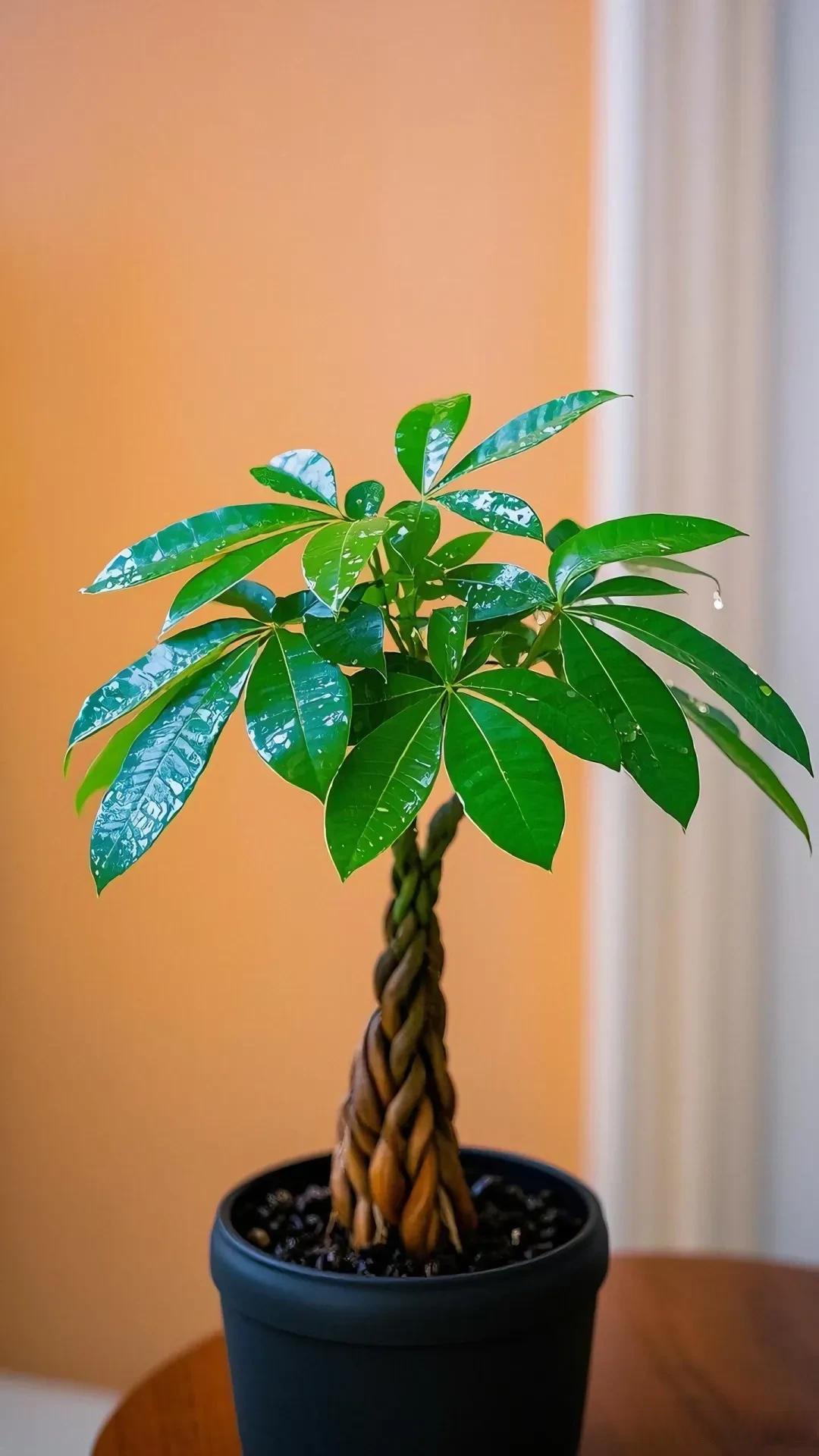 不与说话难听者往来 在人际交往的广阔天地里,我们就