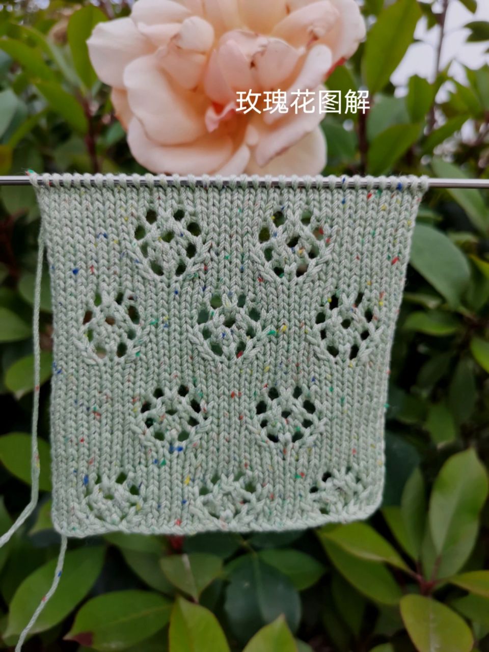 玫瑰花图解,织短袖太漂亮了,棒针镂空花 这款花型简单好织🎀🎀