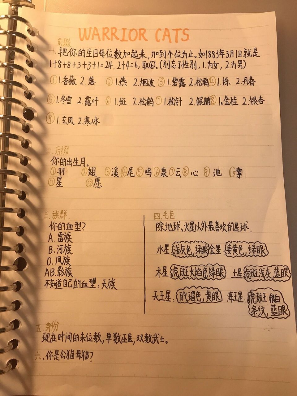 测测你在猫武士名字,身份,毛色,族群