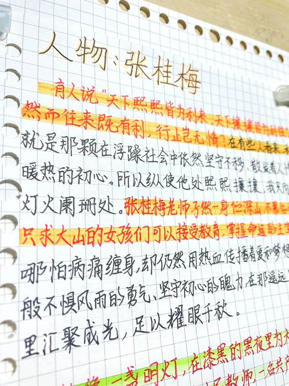 张桂梅作文素材200字图片