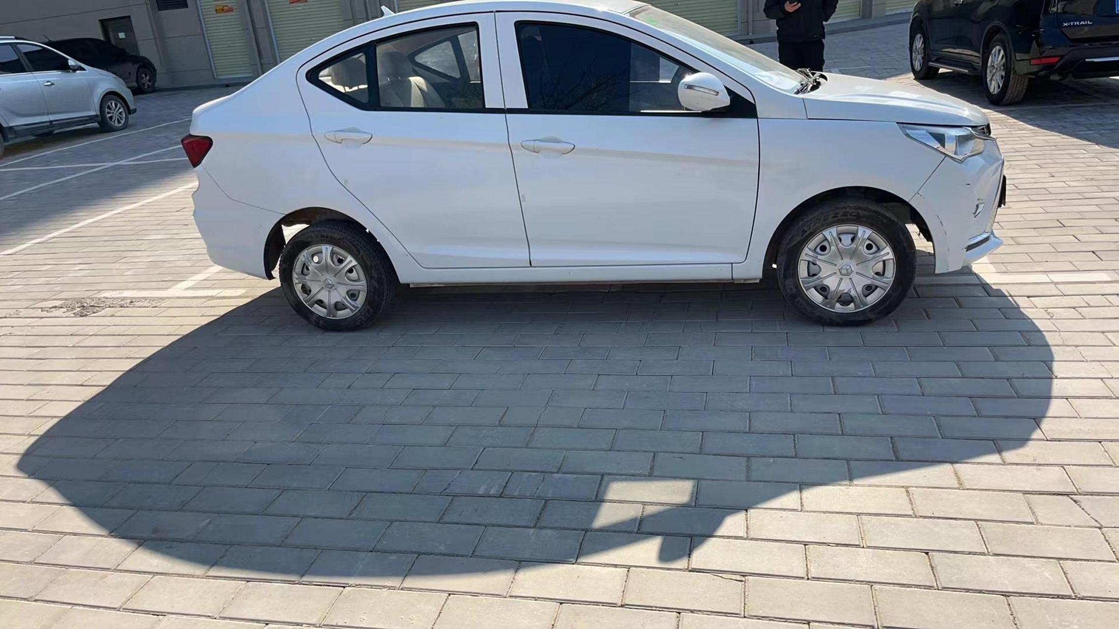 雷丁小骑士,油电两用,方向刹车双助力,23年1月更换新电瓶,车况精品