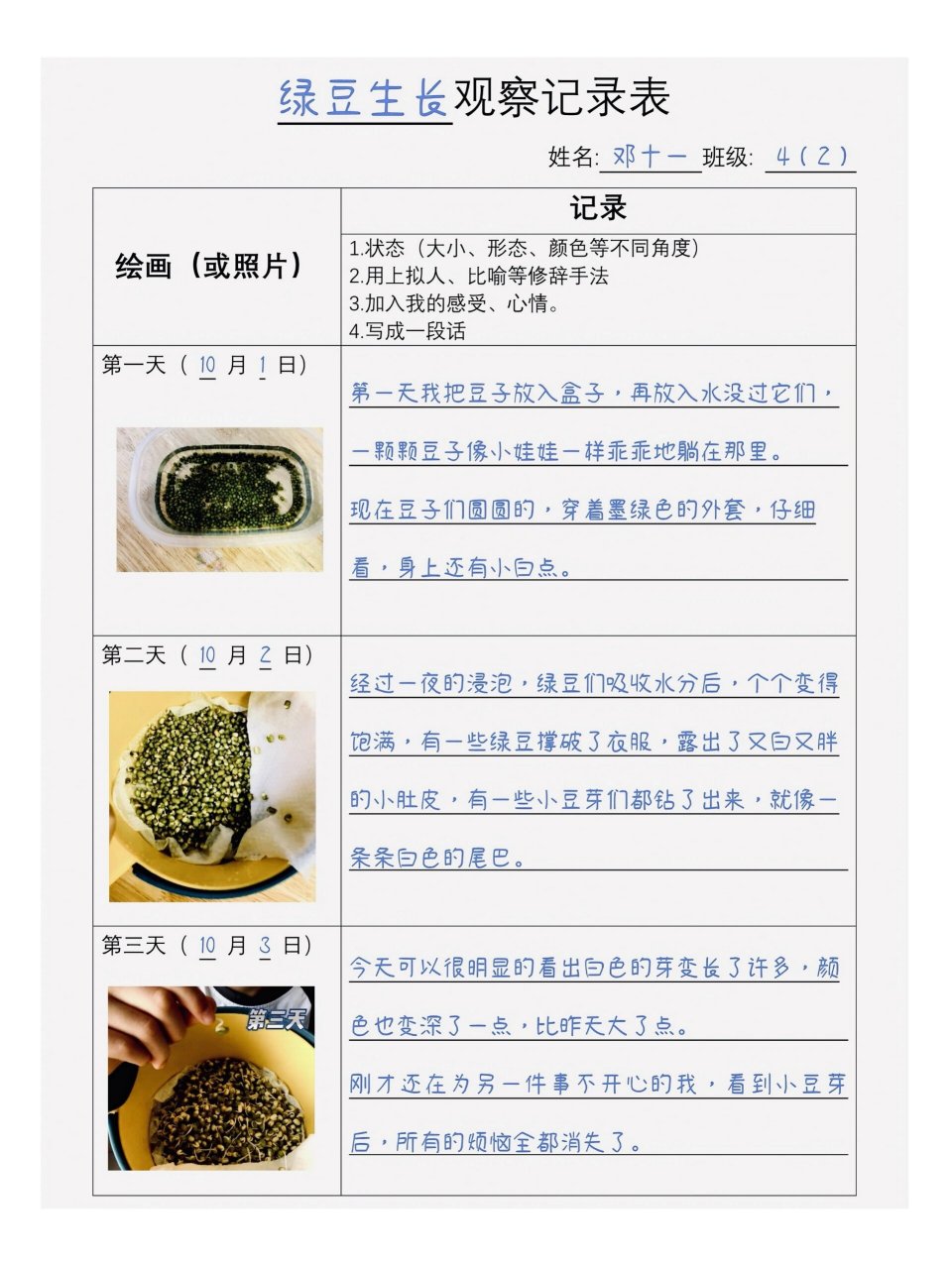 绿豆发芽观察表格图片