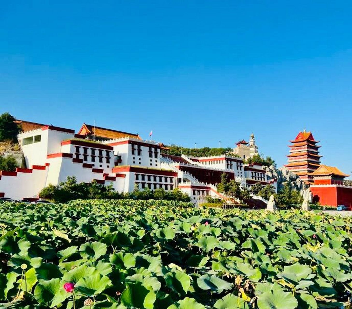 传说中锦州市的小布达拉宫广场 家人们,又发现一假期好去处～mini版的