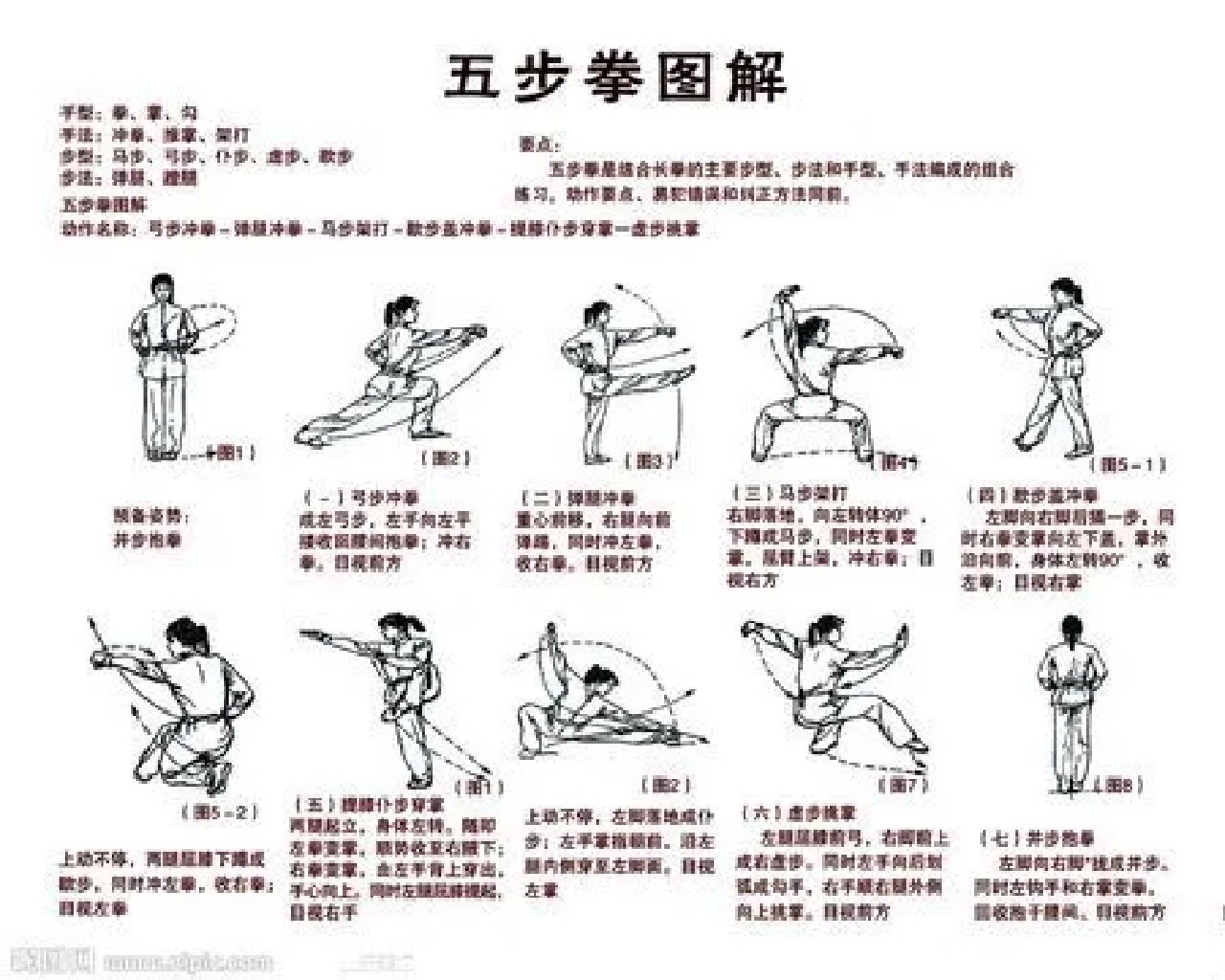 五步拳分解动作