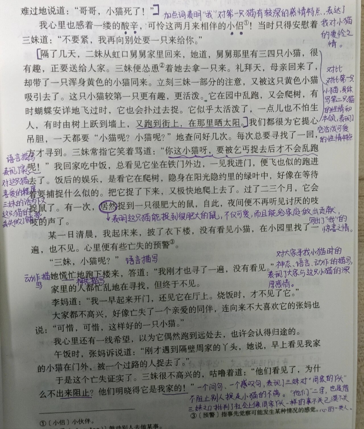 16课猫的笔记图片图片