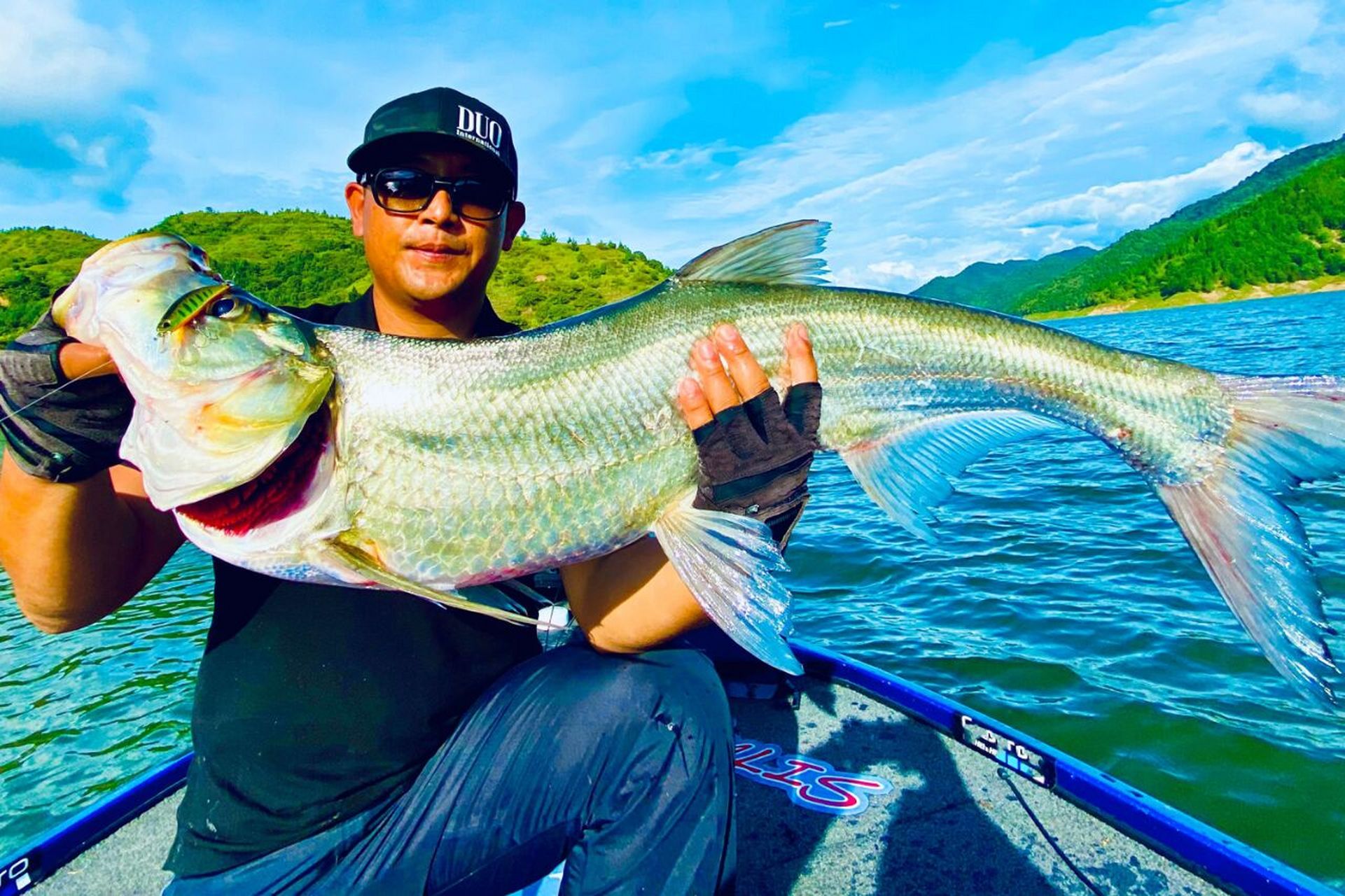 古代的白魚就是現如今的翹嘴魚,翹嘴魚學名翹嘴紅鮊,屬於高級淡水魚類