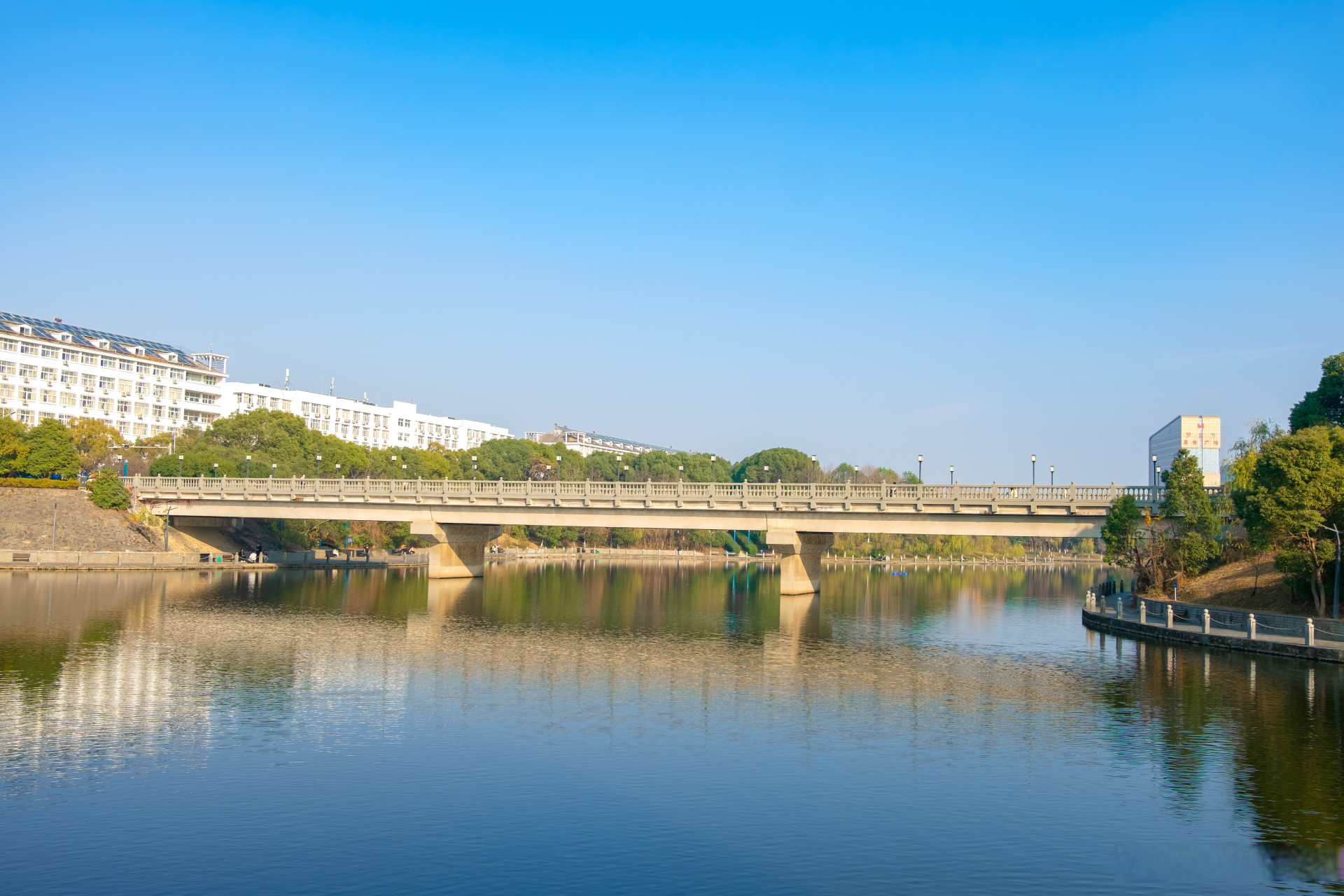 早安,2021年的最后一天更要活得耀眼77