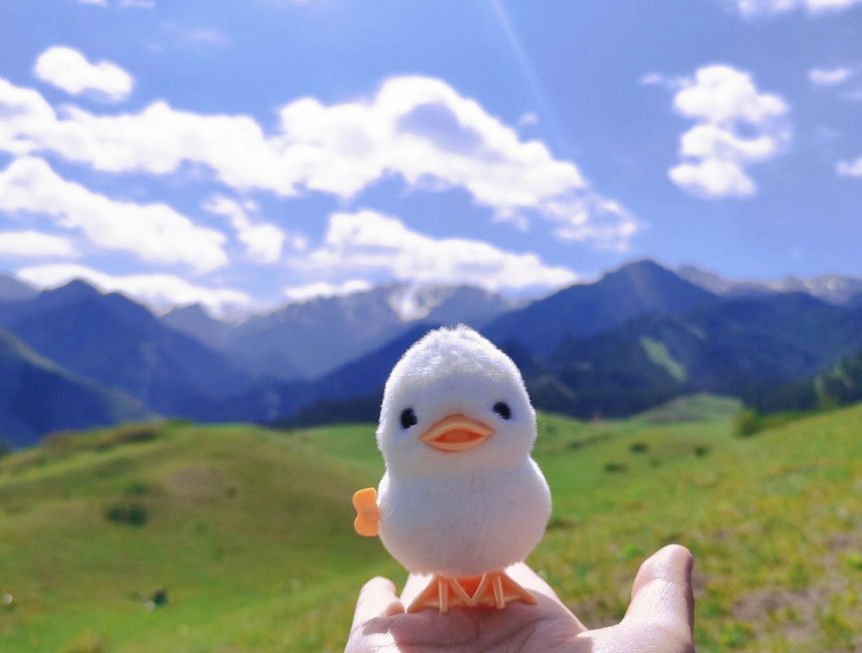 哈熊沟一日游~ 高德直接搜 哈熊沟本地人应该很多都去过啦不要门票 离