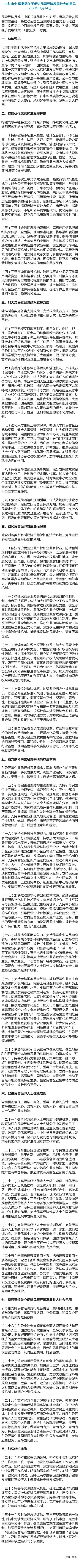 中共中央 国务院关于促进民营经济发展壮大的意见