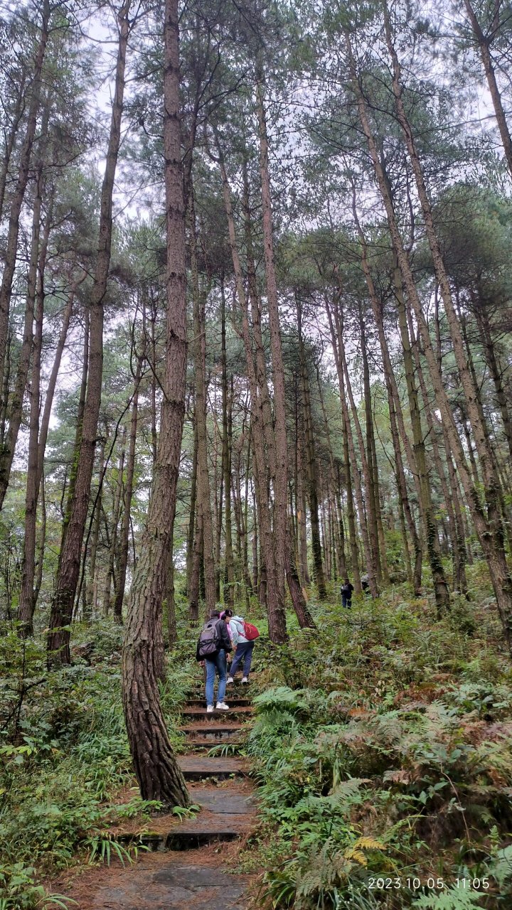 盘龙山森林公园