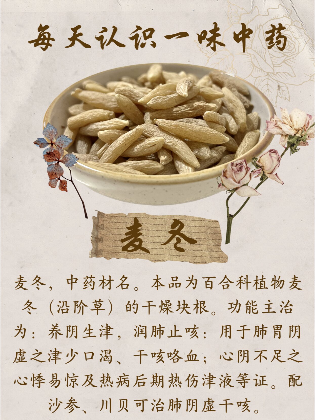 麦冬的作用药用价值图片