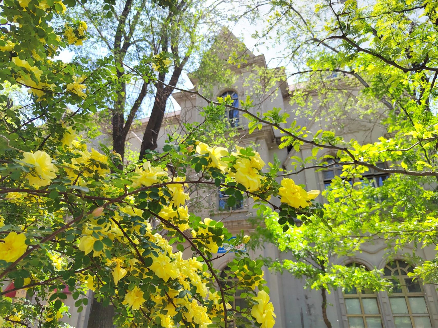 沈阳百鸟公园   百鸟公园位于皇姑区崇山路,辽宁大学对面  交通:地铁